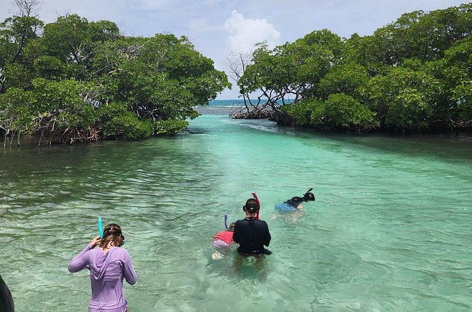 La Parguera Private Boat Charter - What Captain Angel adds to the outing