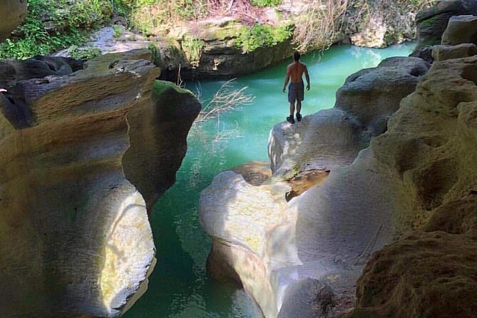 Lagoon Cave and Secluded Beaches Tour in Puerto Rico - La Poza de las Mujeres: coral, fish, and a coastal cave