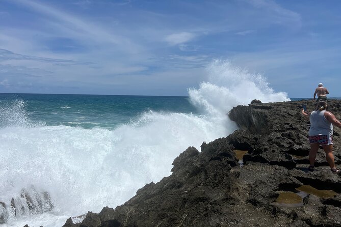 Lagoon Cave and Secluded Beaches Tour in Puerto Rico - The private format and the guide make a big difference