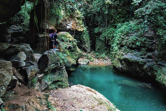 Lagoon Cave and Secluded Beaches Tour in Puerto Rico - Who should book this Puerto Rico excursion?