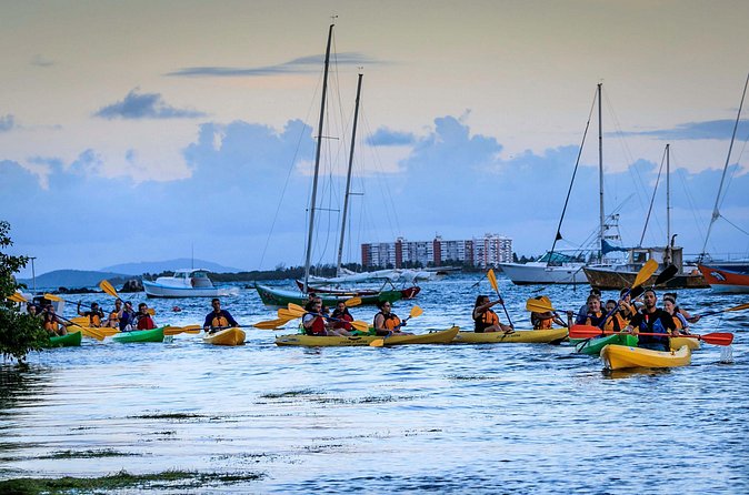 Laguna Grande Night Kayaking Bio Bay - Why Laguna Grande is worth seeing after dark