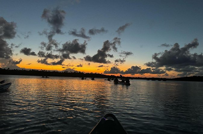 Laguna Grande Night Kayaking Bio Bay - What the $115 price includes
