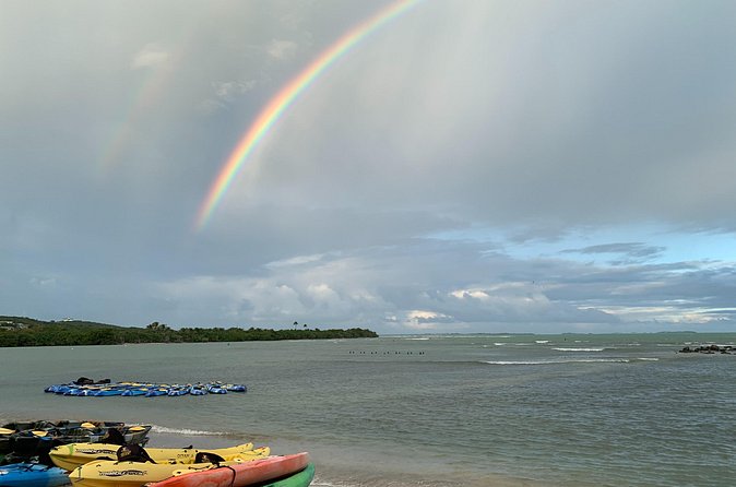 Laguna Grande Night Kayaking Bio Bay - Weather, cancellations, and practical planning