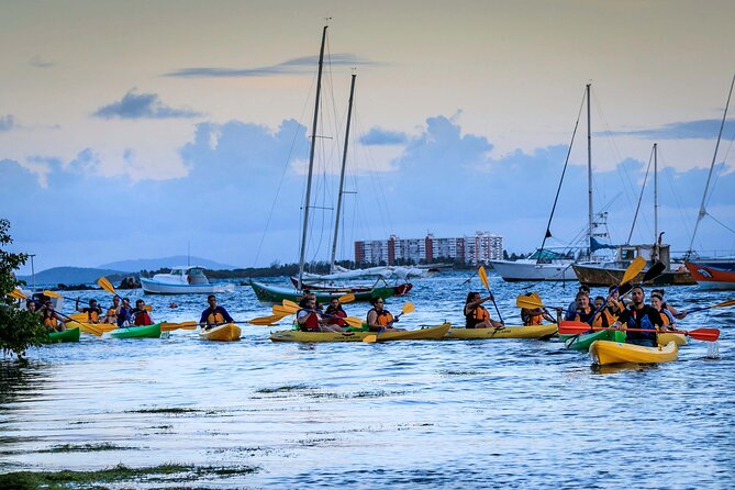 Laguna Grande Night Kayaking Bio Bay - Paddling through the mangrove channel