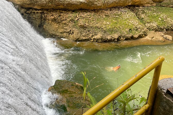 Largest Natural Waterslide, River Hike and Beach Tour in Arecibo - Who should book this experience?