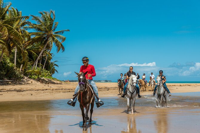 Luquillo Beach Horse Ride from Carabalí Rainforest Adventure Park - Key points to know before you book