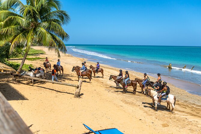 Luquillo Beach Horse Ride from Carabalí Rainforest Adventure Park - Getting matched with the right horse