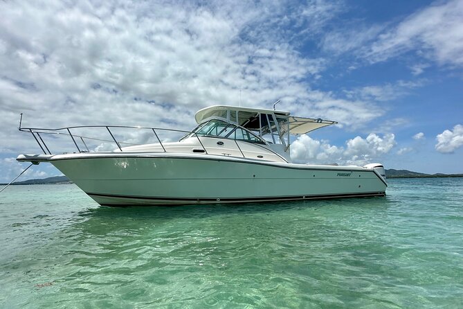 Luxury Private Tour to Fajardo Keys—Snorkeling & Island Adventure - What the $795 Price Really Buys
