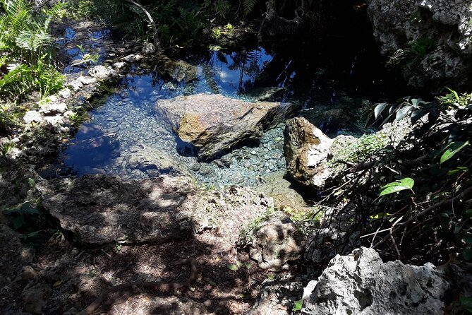 Mountain Bike tour to a Pristine Spring and Cave - Fitness, clothing, and practical preparation