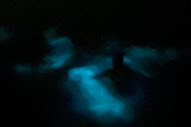 Mystic Waters A Bioluminescent Night Tour - Reaching La Parguera for the 8:00 pm Start