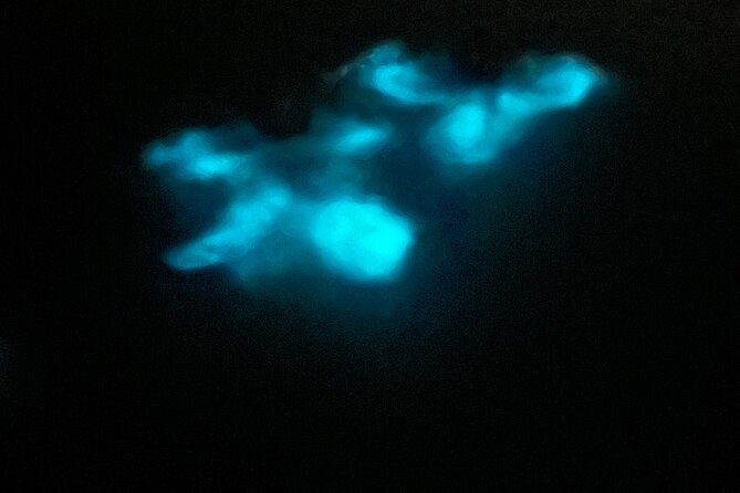 Mystic Waters A Bioluminescent Night Tour - Boarding the Boat at La Parguera
