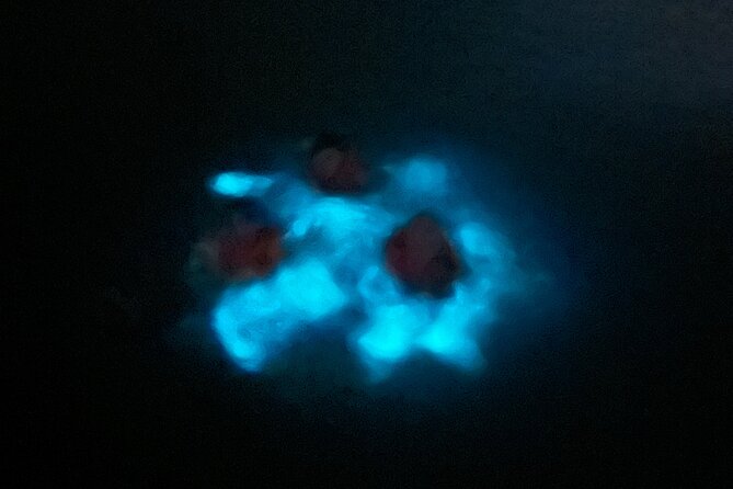 Mystic Waters A Bioluminescent Night Tour - Who Will Enjoy Mystic Waters Most