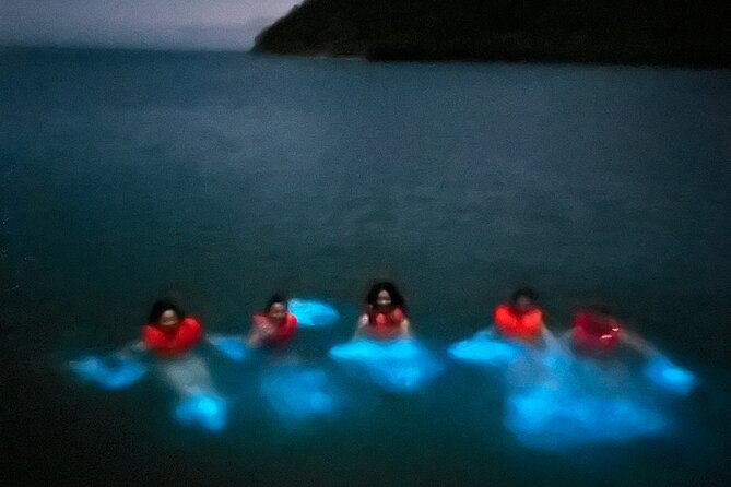 Mystic Waters A Bioluminescent Night Tour - Watching the Water Glow in the Bay