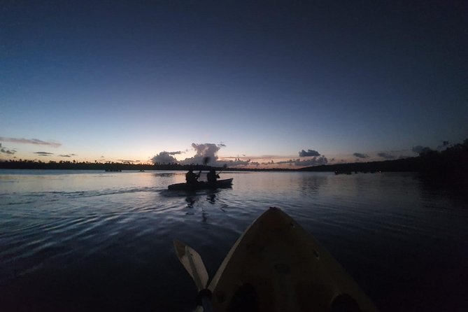 Night Kayaking Experience on Bioluminescent Lagoon in Fajardo - Key points to know before booking