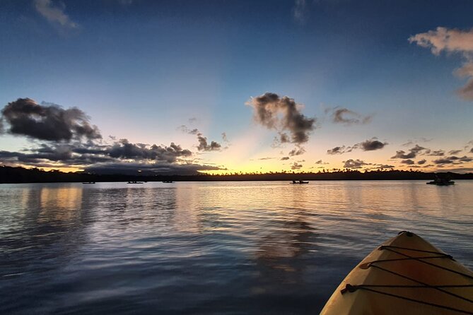 Night Kayaking Experience on Bioluminescent Lagoon in Fajardo - When the plankton starts to sparkle
