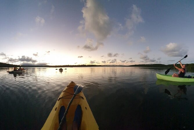 Night Kayaking Experience on Bioluminescent Lagoon in Fajardo - Returning through the reserve