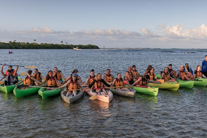 Night Kayaking Experience on Bioluminescent Lagoon in Fajardo - Is $79 a fair price?
