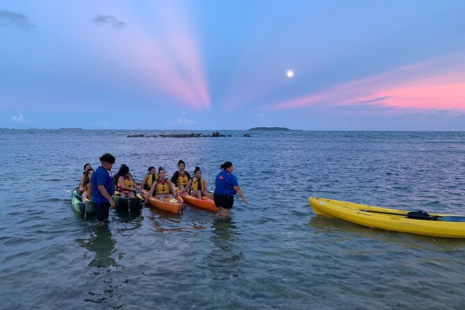 Night Kayaking Experience on Bioluminescent Lagoon in Fajardo - Weather, moonlight, and realistic expectations