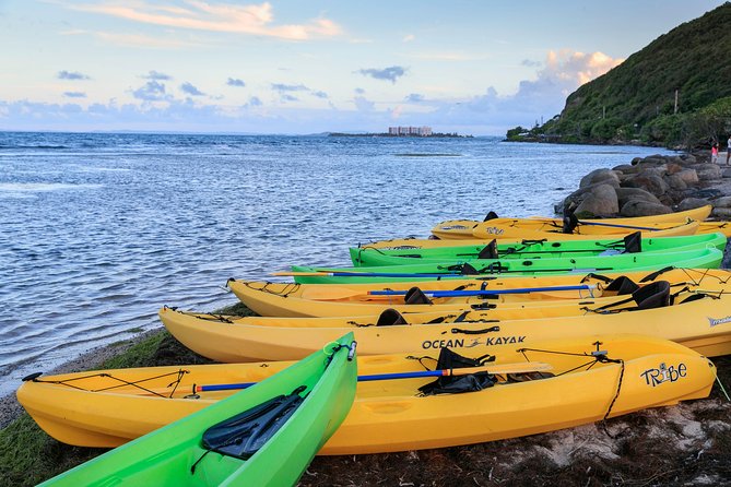 Night Kayaking Experience on Bioluminescent Lagoon in Fajardo - Paddling through the mangrove channels