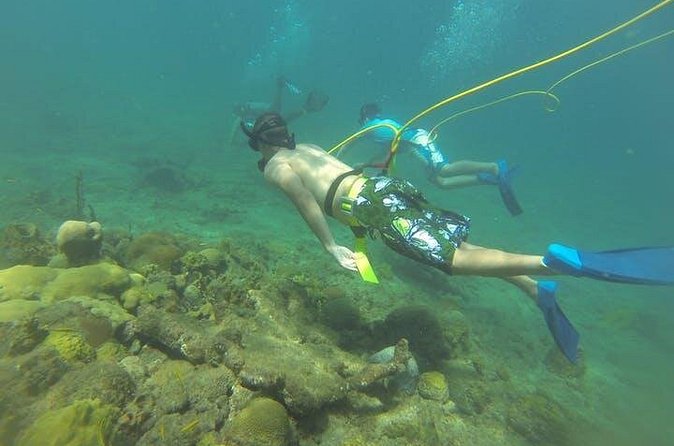 OCTOPUS DIVING (hookah diving) NO Experience Needed - About 45 minutes exploring Rincón’s reef