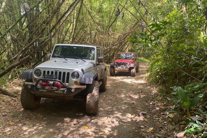 Off-Road Jeep Adventure from Carolina - Key points to know before you go