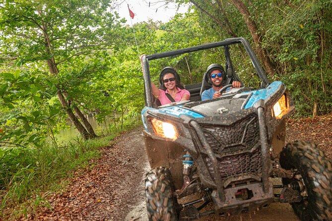 Off-Road UTV Tour : Explore Puerto Rico minutes from San Juan - A closer look at the scenery
