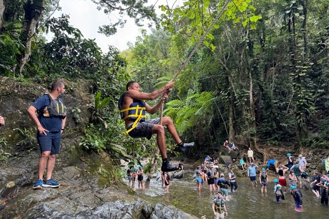 "Off the beaten path" Rain Forest Guided hike with Transportation - Key points to know before you book