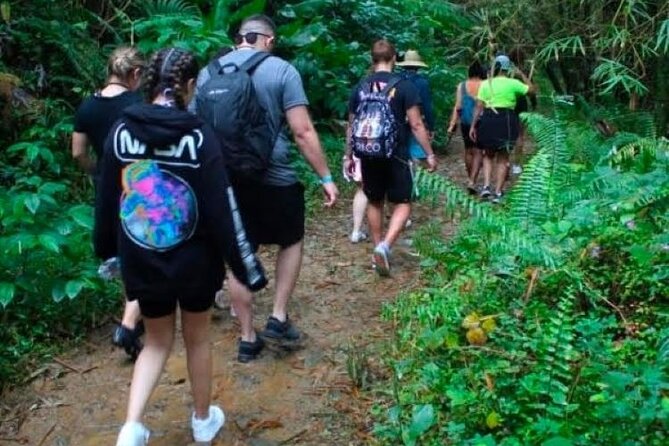 "Off the beaten path" Rain Forest Guided hike with Transportation - Rivers, waterfalls, and the forest trail
