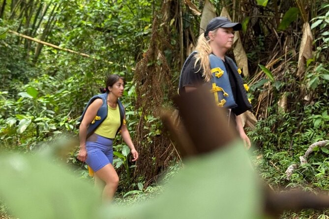 "Off the beaten path" Rain Forest Guided hike with Transportation - The guide can make or break the day