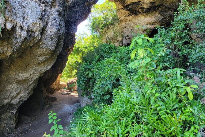Old San Juan and Piñones Sightseeing Experience! - The Change of Pace in Piñones and Loíza