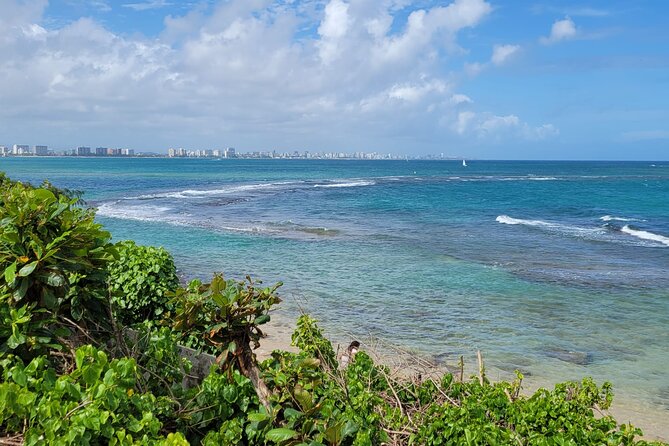Old San Juan and Piñones Sightseeing Experience! - The Guides Can Shape the Experience