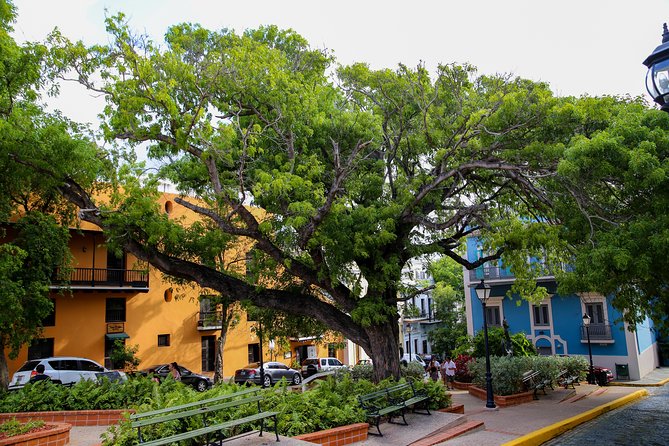 Old San Juan and Rum Factory Full-Day Tour: Minimum 8+ people - Who will enjoy this tour most?