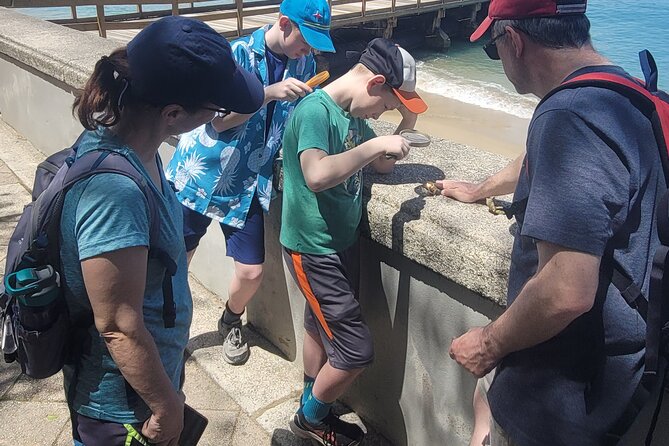 Old San Juan Family Fun Tour: Science/History/ Yummy treats - Professor Nat’s teaching style