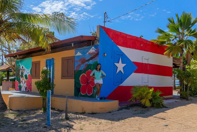 Old San Juan & Loiza African Town Full-Day Tour: Minimum 8+people - Who will enjoy this tour most