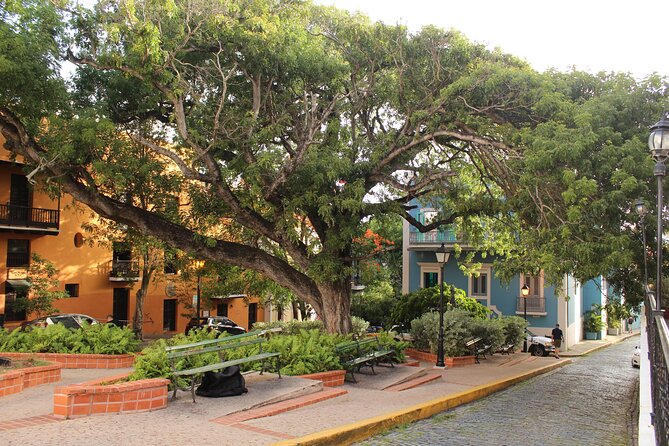 Old San Juan Walking Day and Night Tours - San José Church and the Quinto Centenario monument