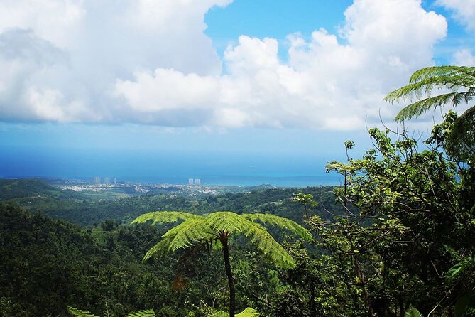 Original Tropical Rainforest and Beach Adventure - Why this San Juan day trip works