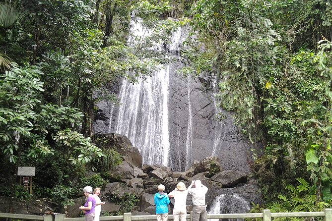 Original Tropical Rainforest and Beach Adventure - What the rainforest stop may feel like