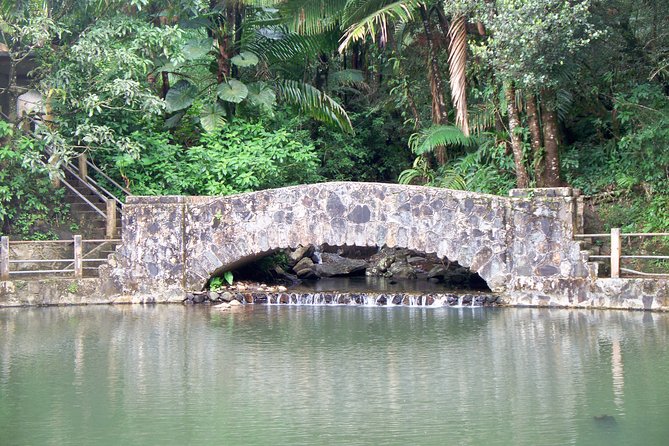 Original Tropical Rainforest and Beach Adventure - What $95 really gets you