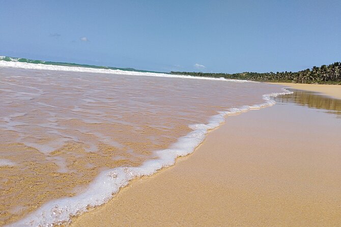 Original Tropical Rainforest and Beach Adventure - Who should book this experience