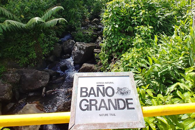Original Tropical Rainforest and Beach Adventure - Packing advice for the river and beach