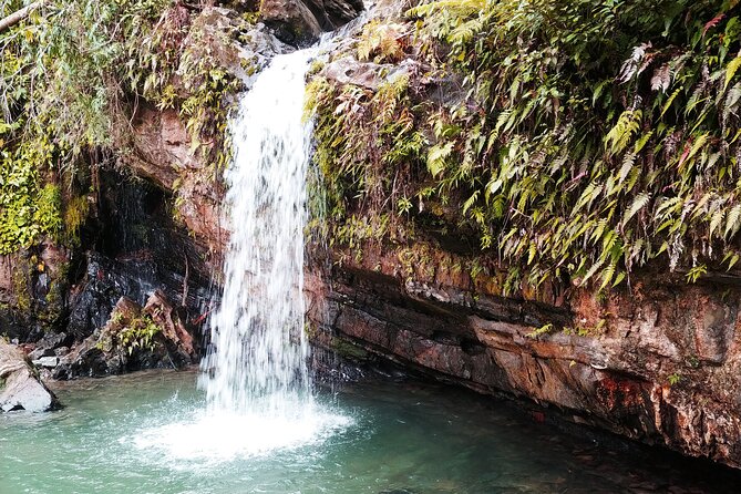 Original Tropical Rainforest and Beach Adventure - Riding from San Juan toward El Yunque
