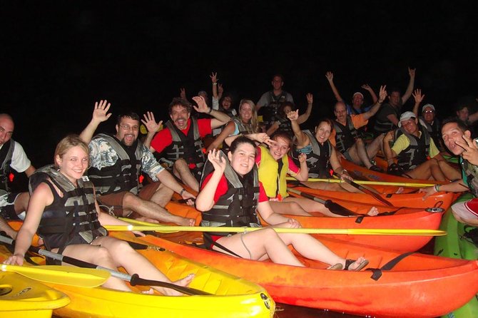 Overnight Bio Bay Kayak Tour in Vieques Island - Moonlight, Weather, and the Best Night