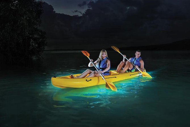 Overnight Bio Bay Kayak Tour in Vieques Island - The Van Ride to the Bay