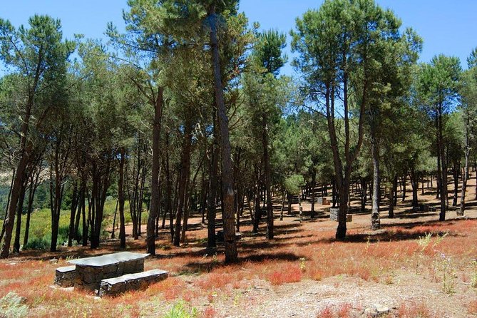 Panorama VIP Tour in Gran Canaria - Ayacata shows the island’s mountain roads