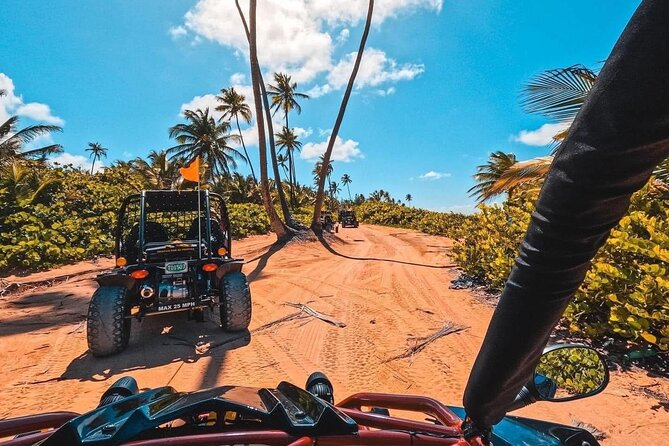 Piñones Beach Buggy + El Yunque Waterfall Adventure - Why this six-hour pairing works