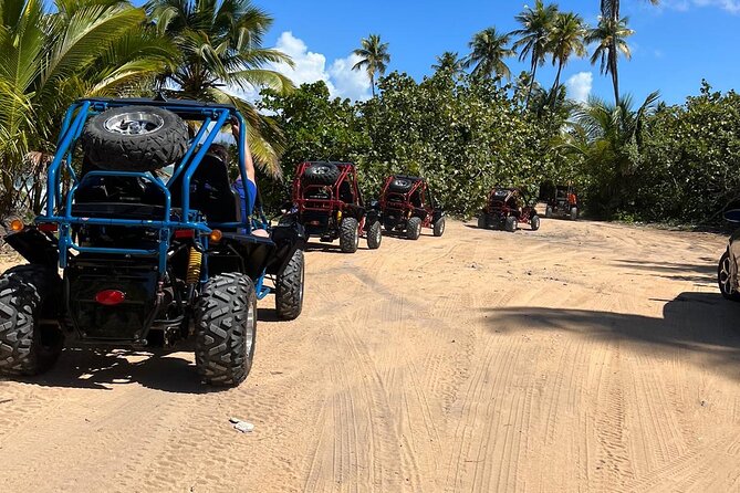 Piñones Beach Buggy + El Yunque Waterfall Adventure - Who will enjoy this outing most