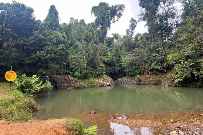 Pork Highway & Cayey Cultural & Gastronomical Experience - Why Cayey makes a good change from the coast
