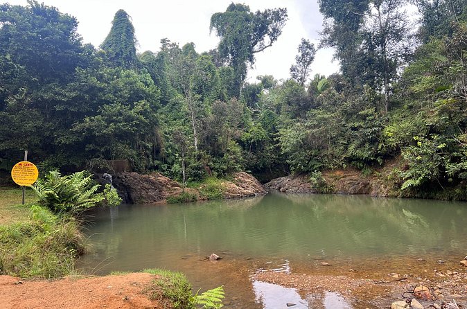 Pork Highway & Cayey Cultural & Gastronomical Experience - Should you book the Pork Highway and Cayey tour?