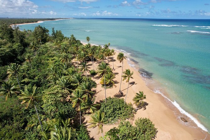 PR Chinchorreo-Beach and Bar Hopping Tour - Key Things to Know Before You Book