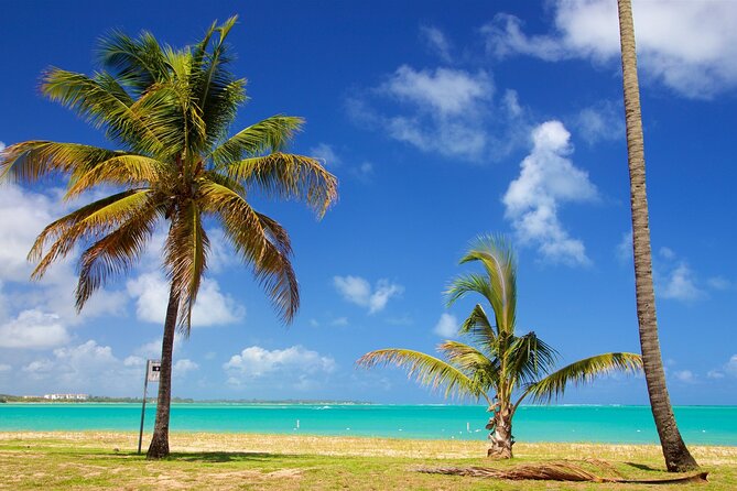 PR Chinchorreo-Beach and Bar Hopping Tour - Patillas: Sea Views, Local Bites, and a Casual Pause